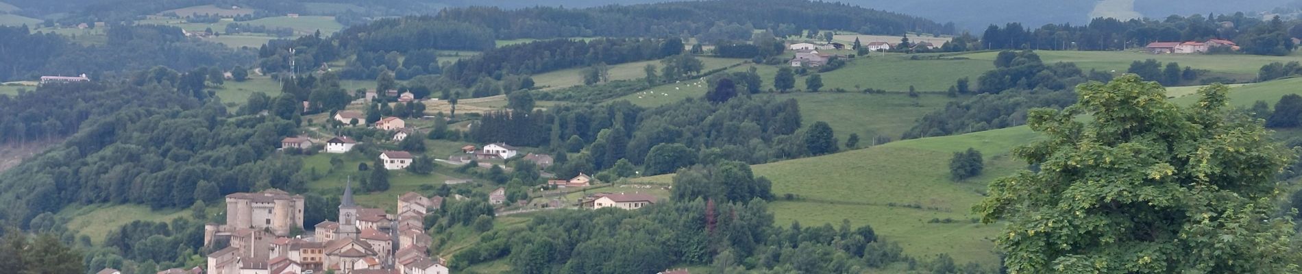 Tour Wandern Chausseterre - retour TOP 03 - Photo