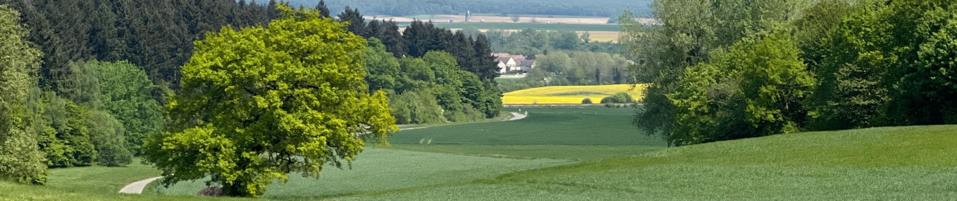 Tour Wandern Ormoy-le-Davien - 030422 - Direction Vaucienne puis Vaumoise et Cave du diable - Photo