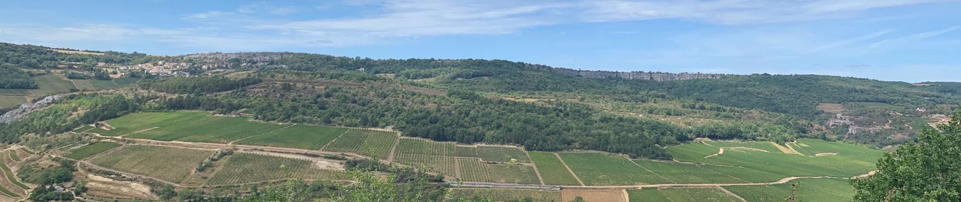 Tocht Stappen Auxey-Duresses - Camp des Celtes et sentier des Cabottes - Photo