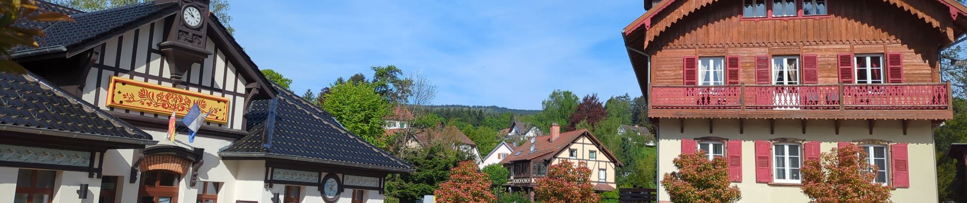 Tocht Stappen Le Hohwald - Hohwald - Rothlach - Neuntelstein - Photo