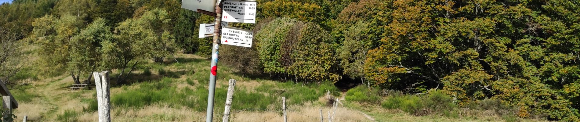 Tour Wandern Goldbach-Altenbach - Firstacker Glasshütte - Photo