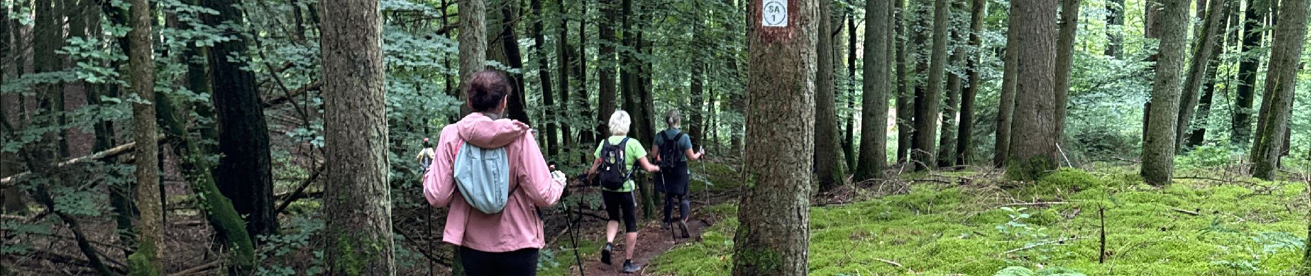 Excursión Marcha nórdica Habscht - Septfontaines - Photo