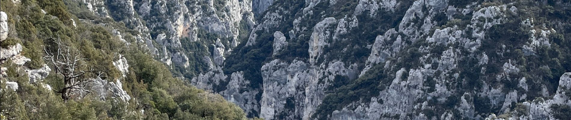 Tocht Stappen La Palud-sur-Verdon - Bastidon la palud  - Photo