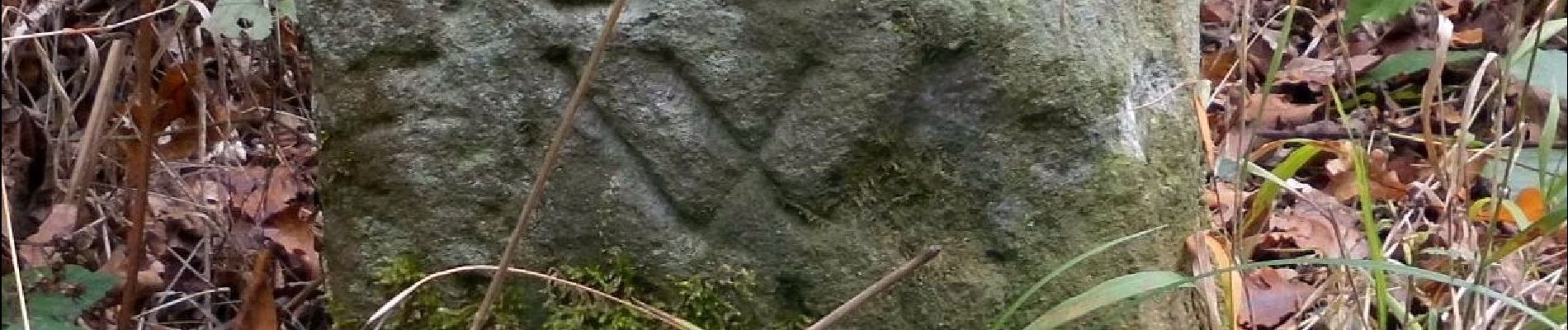 Percorso A piedi Nidderau - Buche - Photo