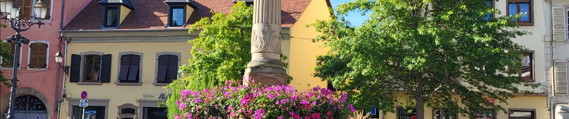 Tocht Stappen Molsheim - Molsheim - Fort de Mutzig - Balade dans les vignes - Photo