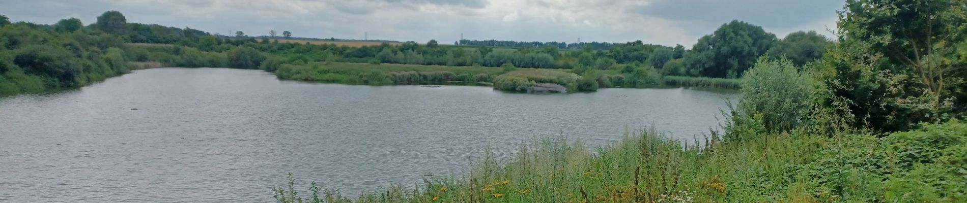 Tocht Stappen Genepiën - Fonteny-Loupoigne - Photo