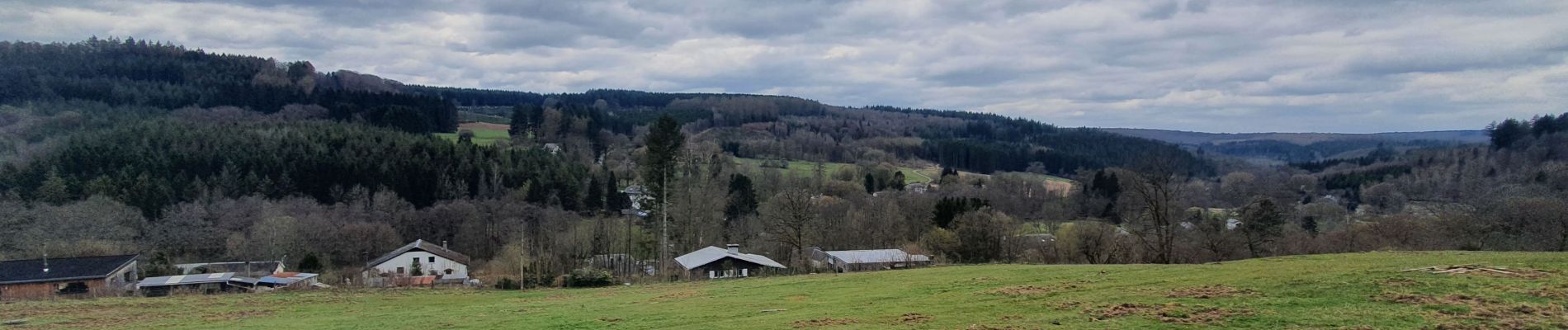 Tocht Stappen Libin - rando redu 16/04/2021 - Photo