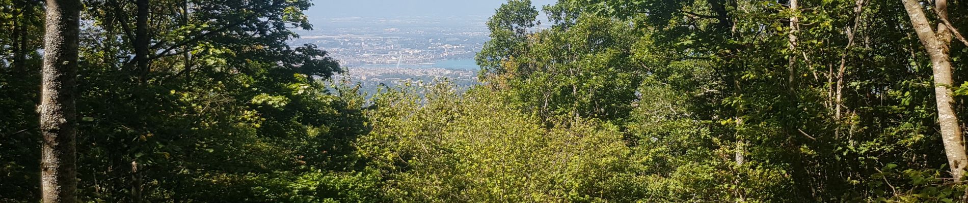 Tour Wandern Étrembières - Etrembieres - Camp des Allobroges - Photo