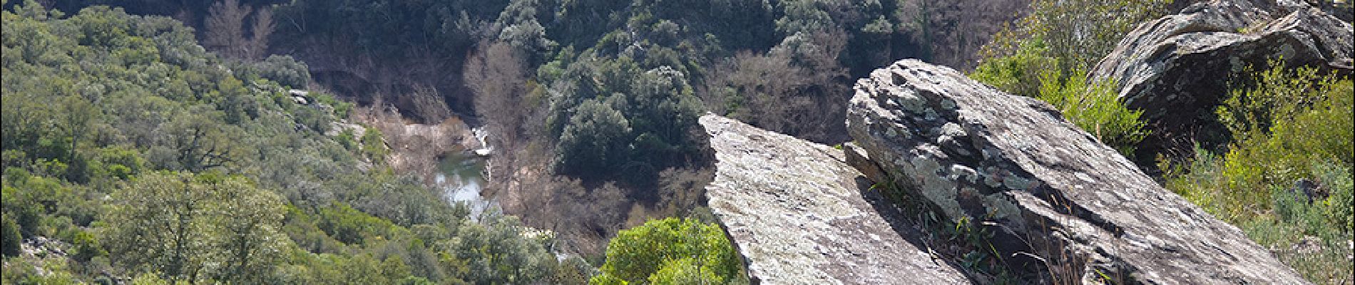 Tour Wandern Les Arcs-sur-Argens - Les Arcs - Forêt Apiès depuis Pont d'Aille - Photo