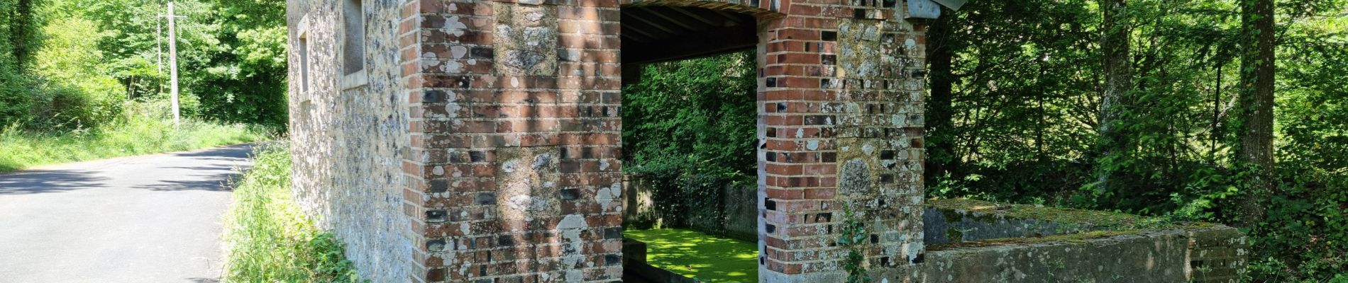 Excursión Senderismo Vendôme - Randonnée dans le Bois de l'Oratoire à Vendôme  - Photo