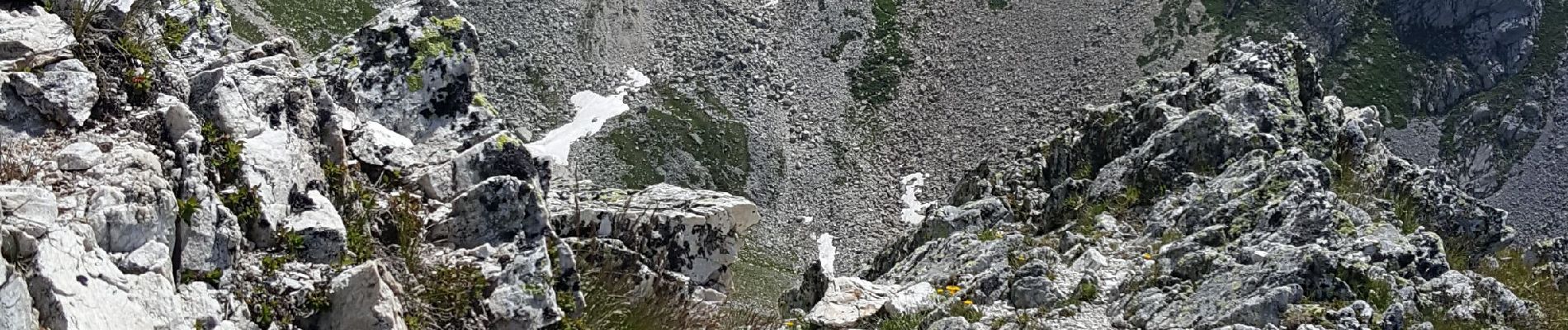 Randonnée Marche Pralognan-la-Vanoise - Pralognan - Col et pointe de leschaux - 17/07/19 - Photo