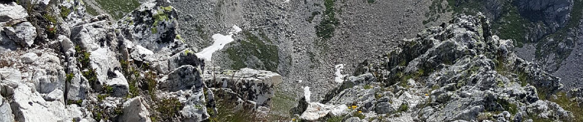 Trail Walking Pralognan-la-Vanoise - Pralognan - Col et pointe de leschaux - 17/07/19 - Photo