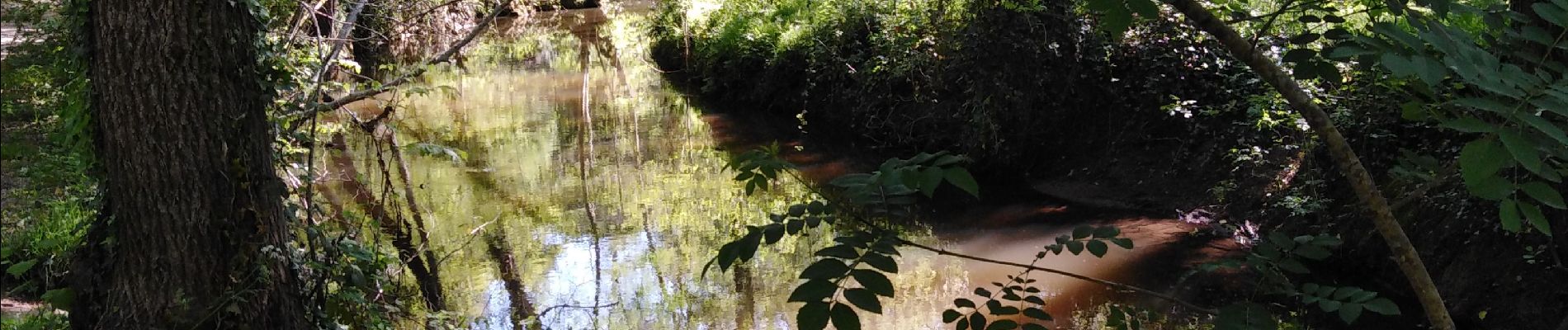 Tocht Stappen Gradignan - caya - Photo