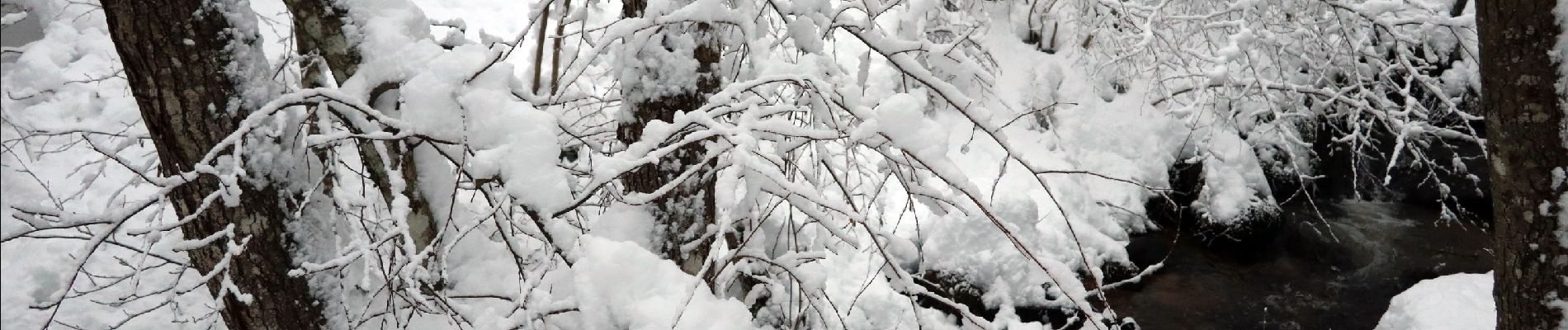 Percorso Racchette da neve Basse-sur-le-Rupt - 20210102_raq_Planois_Chalet-des-Charmes - Photo