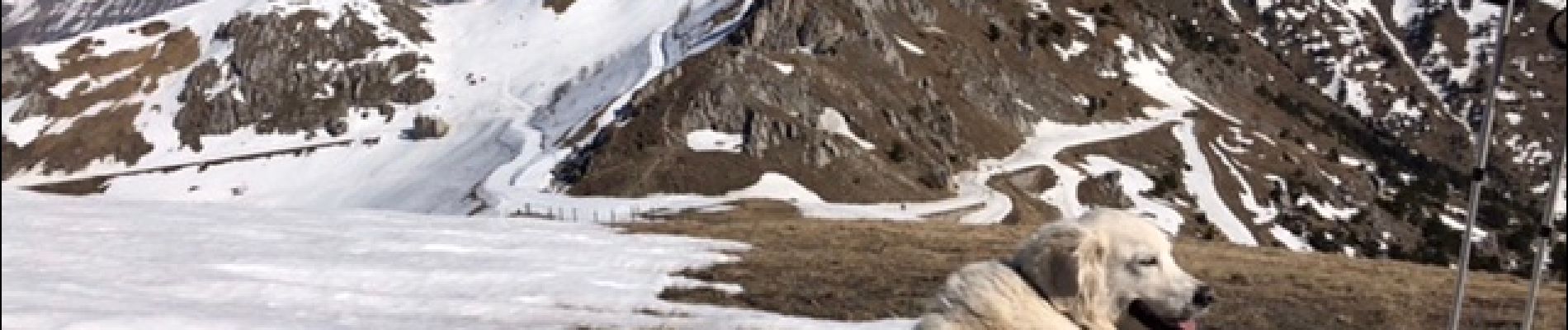 Randonnée Raquettes à neige Tende - Col de Tende - Photo