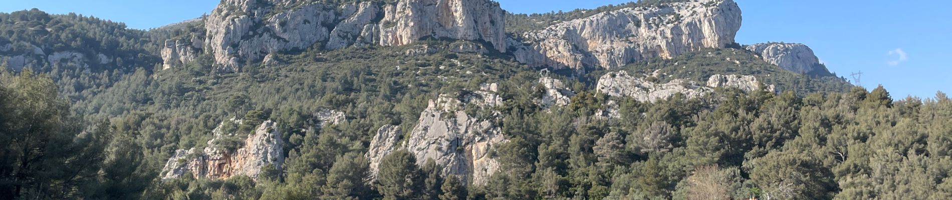 Randonnée Marche Le Revest-les-Eaux - Mont Caume V2 - Photo