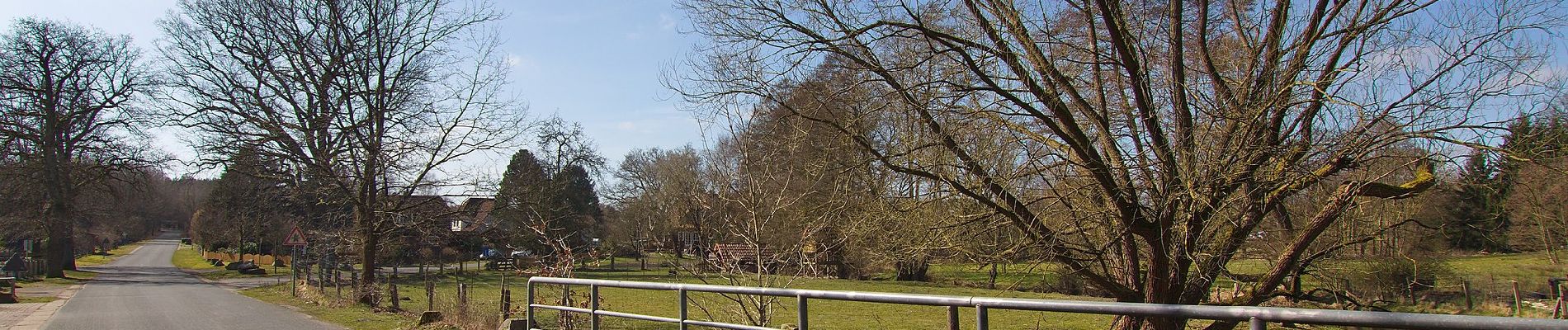 Tocht Te voet Bispingen - Rundwanderweg Steinbeck/Luhe St1 - Photo