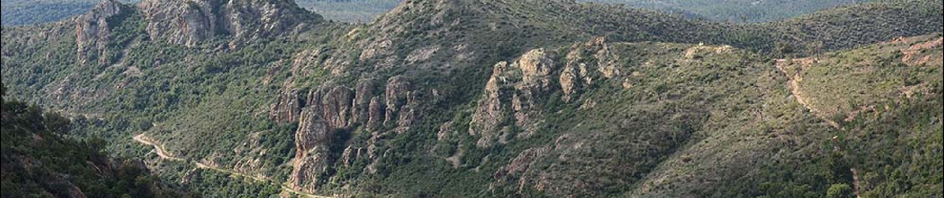 Tour Wandern Fréjus - Pk MF du Malpey - Piste des Malavalettes par Carrefour Roche Noire - Photo