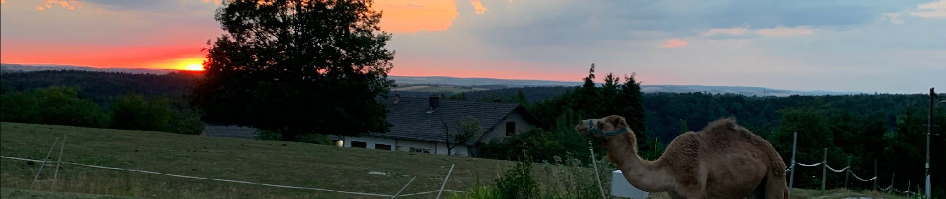 Tour Reiten Lambach - Promenade autour de Bitche - Photo