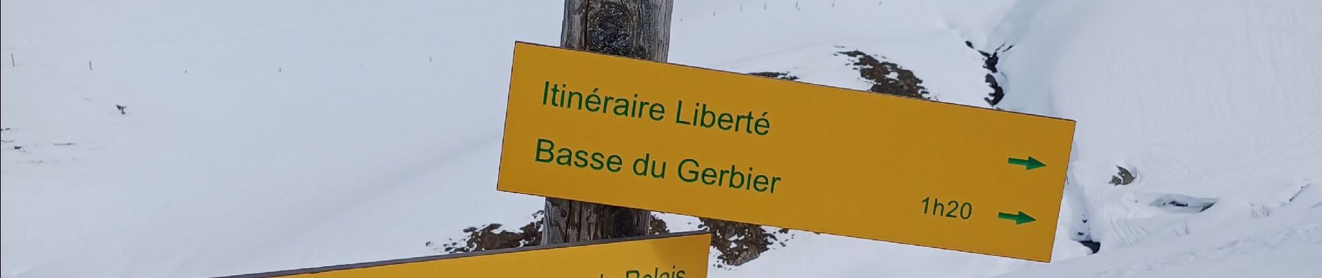 Tocht Sneeuwschoenen Albiez-Montrond - Le Chalmieu - La Basse du Gerbier - Photo