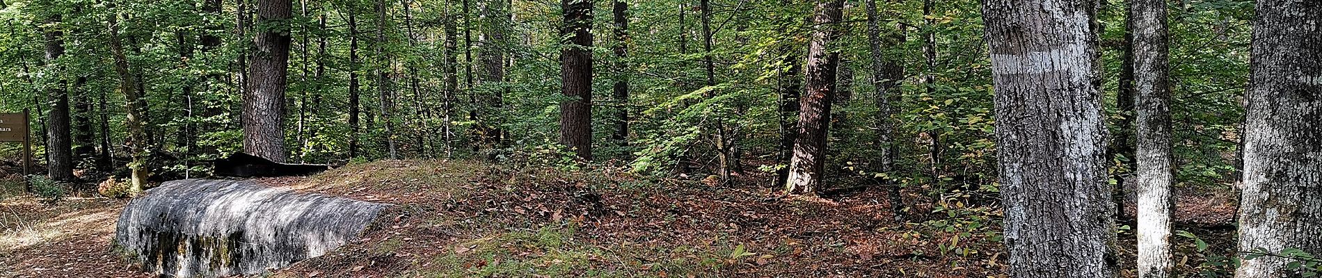 Tour Zu Fuß Philippsburg - Kleiner Rundwanderweg Hanauer Weiher - Photo