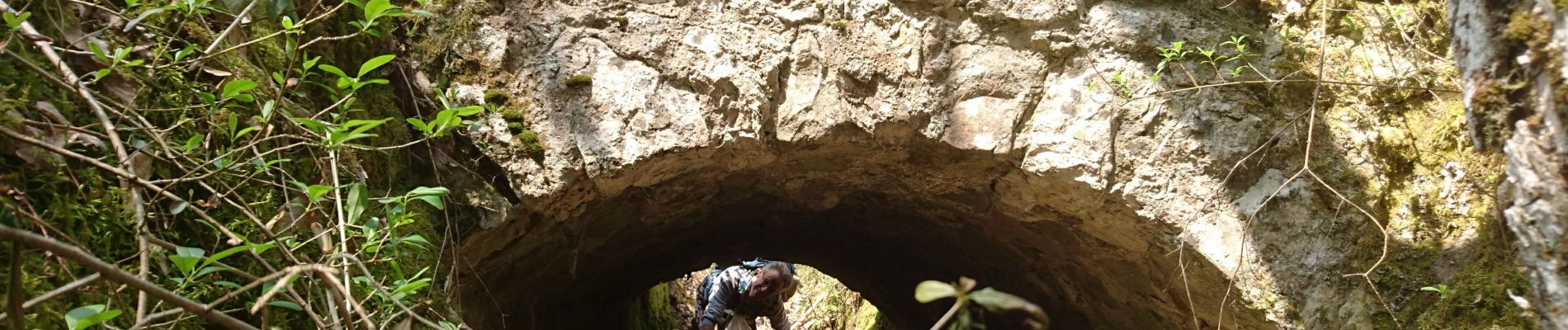 Excursión Senderismo Milly-la-Forêt - 190501 - Photo