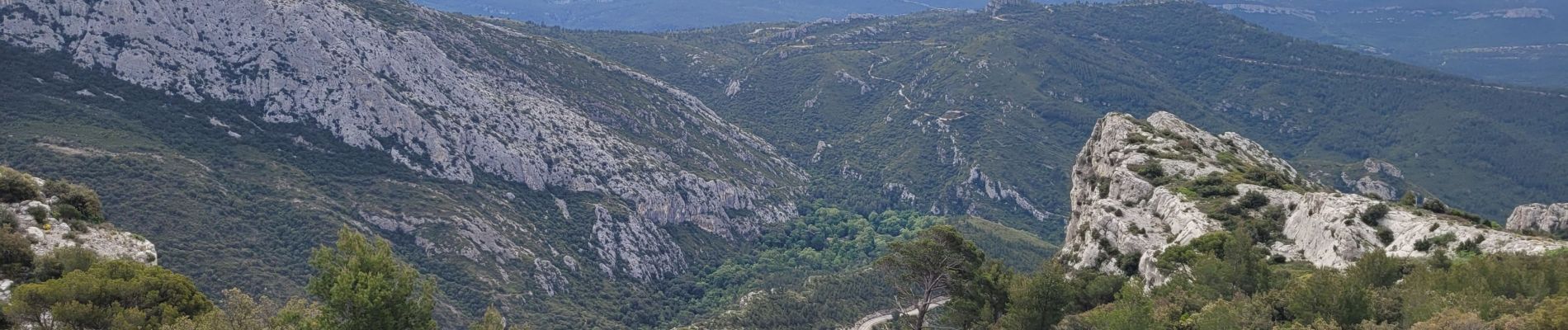 Tocht Stappen Gémenos - Col de l'Espigoulier  - Photo