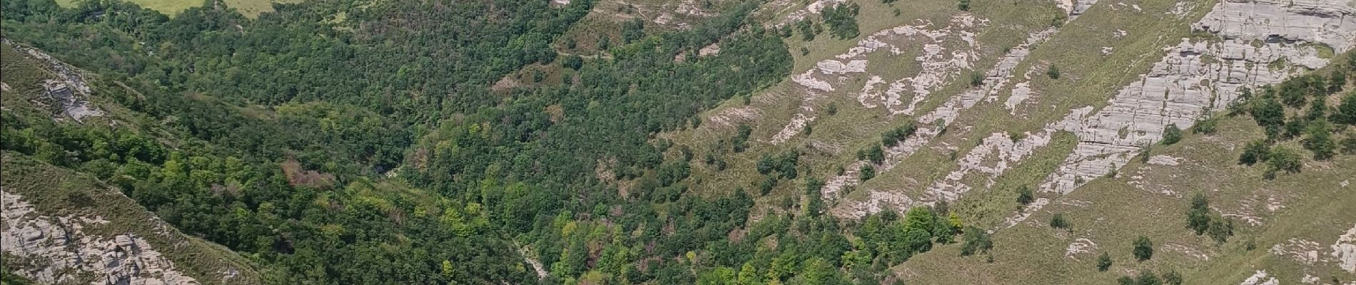 Trail Walking Berberana - Mirador de nervion - Photo