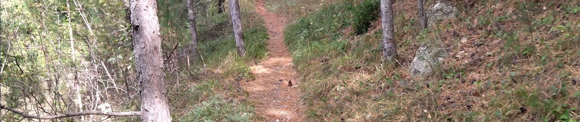 Trail Walking Sisteron - 05 mollard zel - Photo