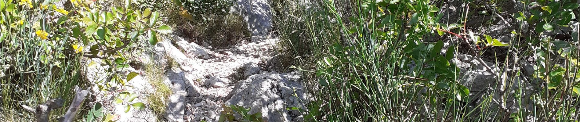 Randonnée Marche Toulon - Baou des 4 Auros - Photo