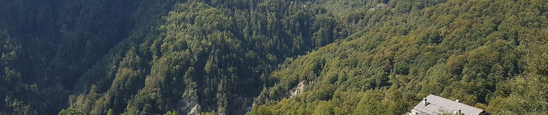 Tour Zu Fuß Toceno - M15 - Arvogno - Pizzo la Scheggia - Photo