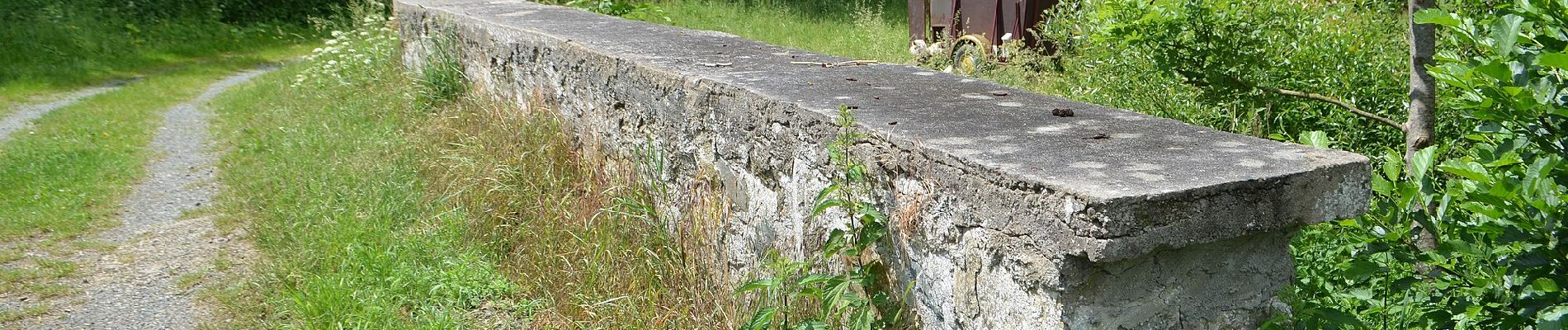 Tour Zu Fuß Schöffengrund - Rundwanderweg Schwalbach - Niederquembach - Photo