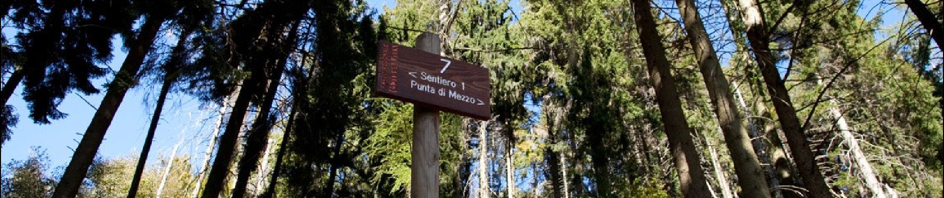 Trail On foot Varese - Sentiero 1/301: Prima Cappella - Forte di Orino - Photo