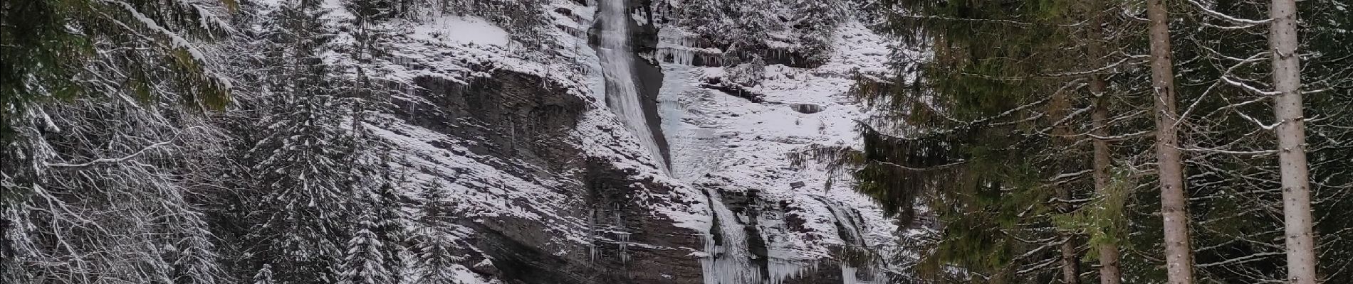 Tour Wandern Sixt-Fer-à-Cheval - salvagny cascade des rougets - Photo