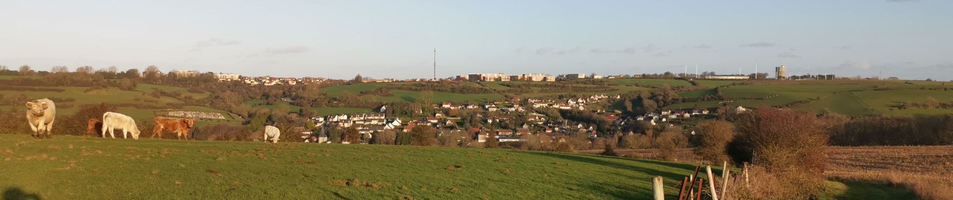 Trail Walking Hautot-sur-Mer - hautot sur mer pourville - Photo