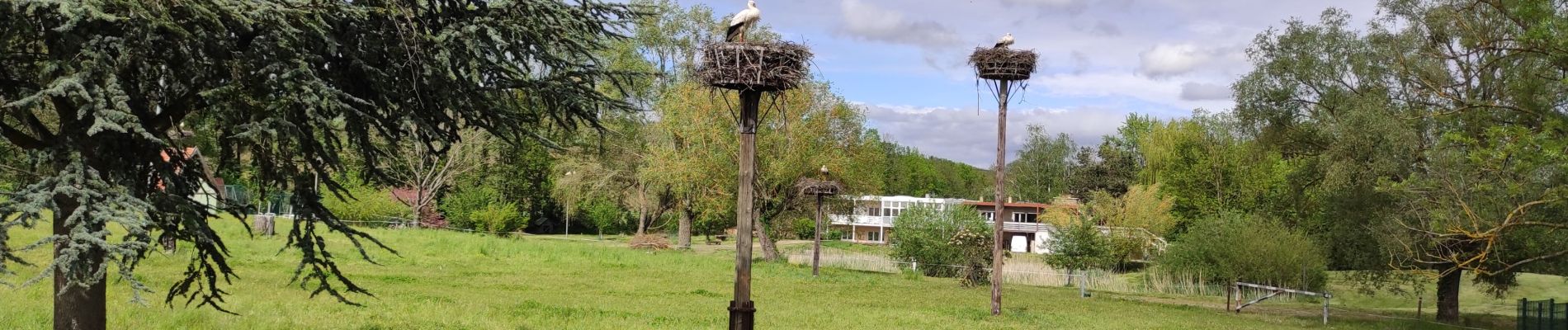 Randonnée Marche Wuenheim - Wuenheim - Photo