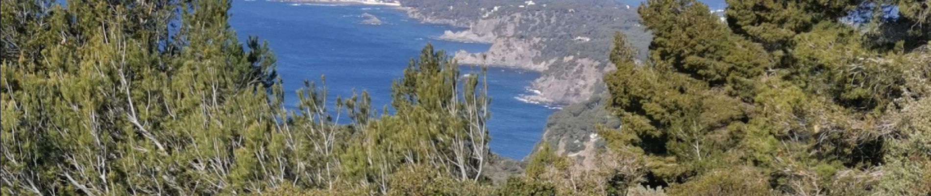 Randonnée Marche La Seyne-sur-Mer - janas le montannier - Photo