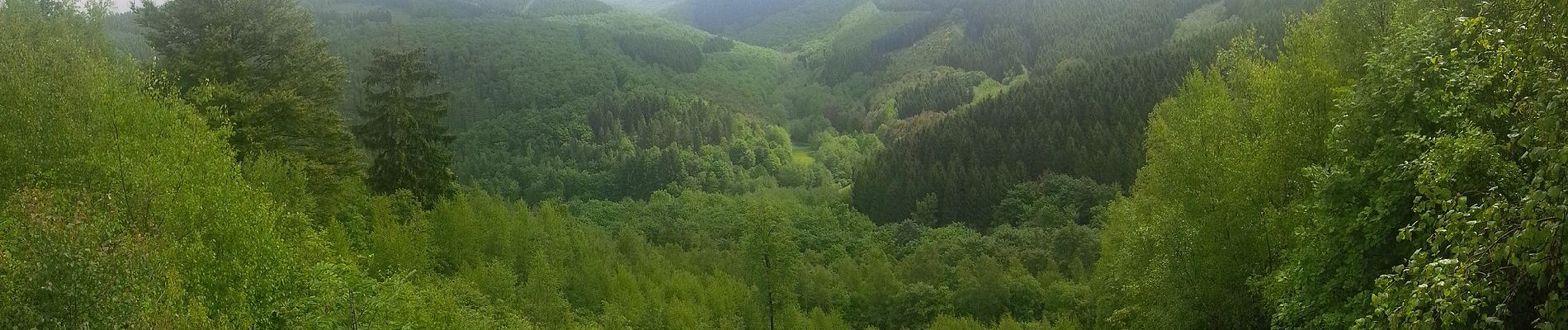 Percorso A piedi Netphen - Gösberg Rundweg A3 - Photo