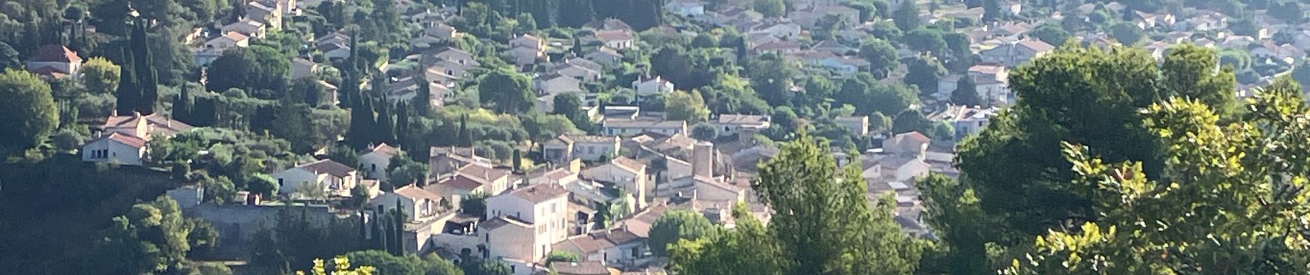 Tour Pfad Sainte-Tulle - La Réserve et le Clapier(14,5K 270D+) - Photo