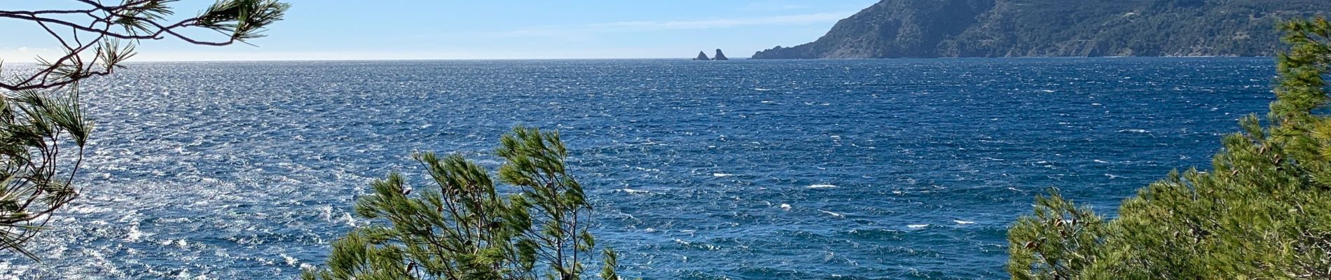 Randonnée Marche Saint-Mandrier-sur-Mer - Saint Mandrier - Plage de Sainte Asile - Plage de Grave - Photo