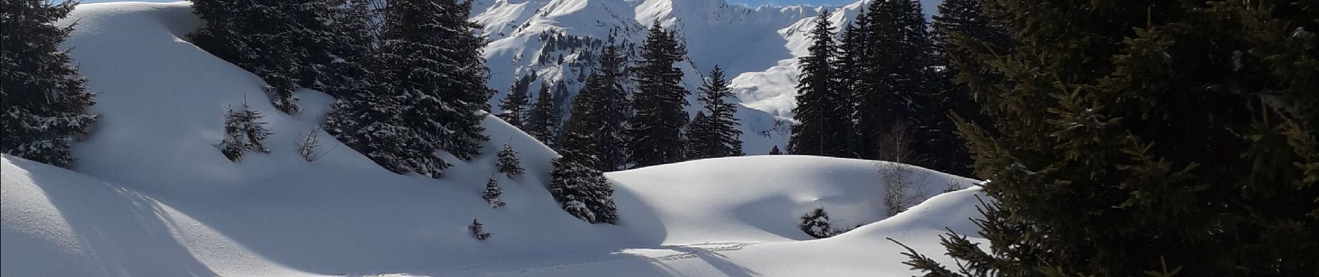 Trail Snowshoes Beaufort - Areches - Plan Villard - Photo