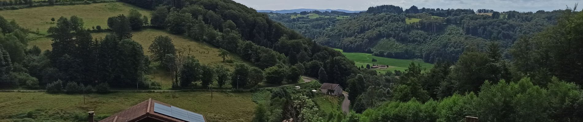 Tour Wandern Fougerolles-Saint-Valbert - 21-07-24 Fougerolles - St Bresson - Photo