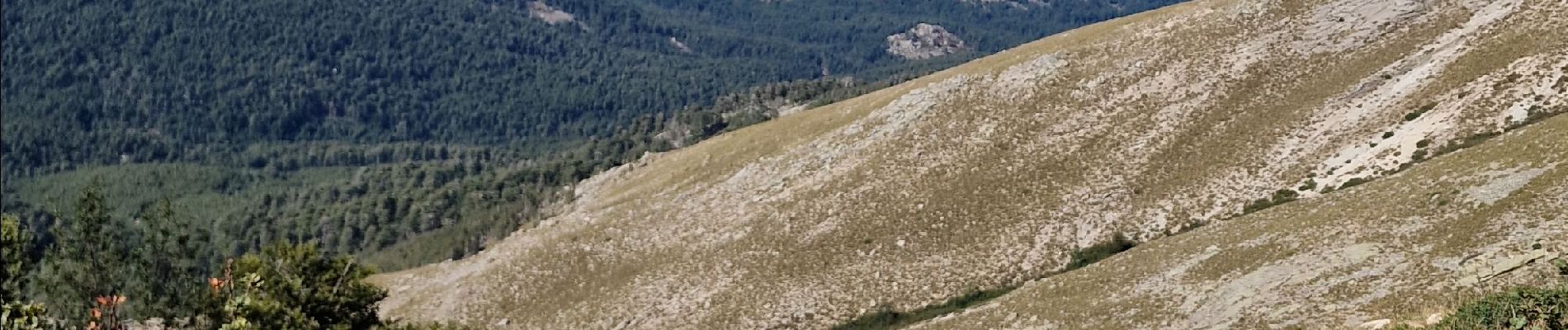 Tour Wandern Albertacce - lac de nino par la fontaine Caroline  - Photo