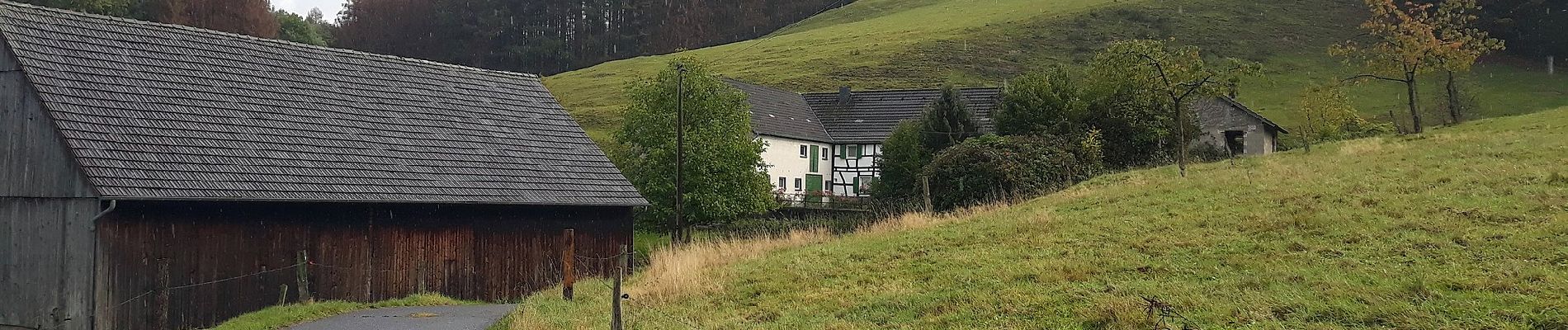 Tocht Te voet Odenthal - Höffe Rundweg A6 - Photo