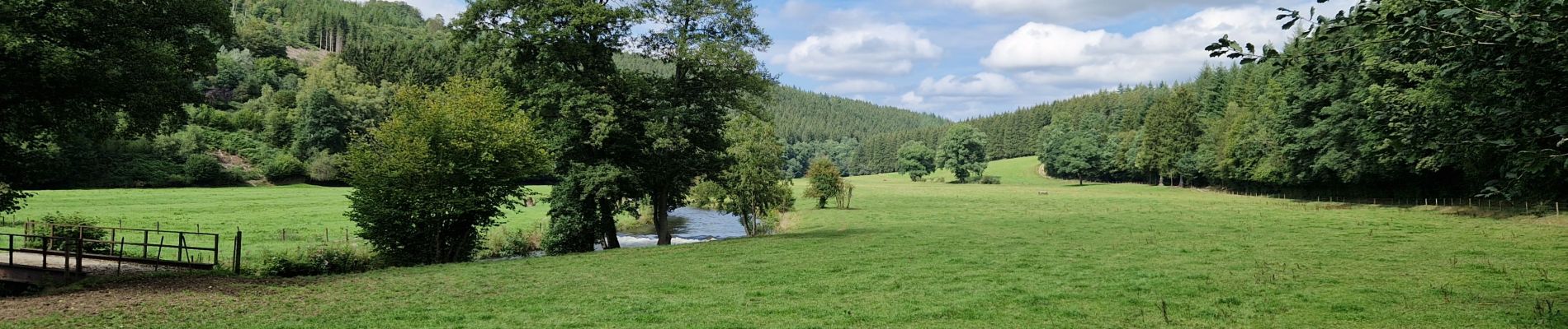 Tocht Stappen Waimes - Robertville - Stavelot - Photo