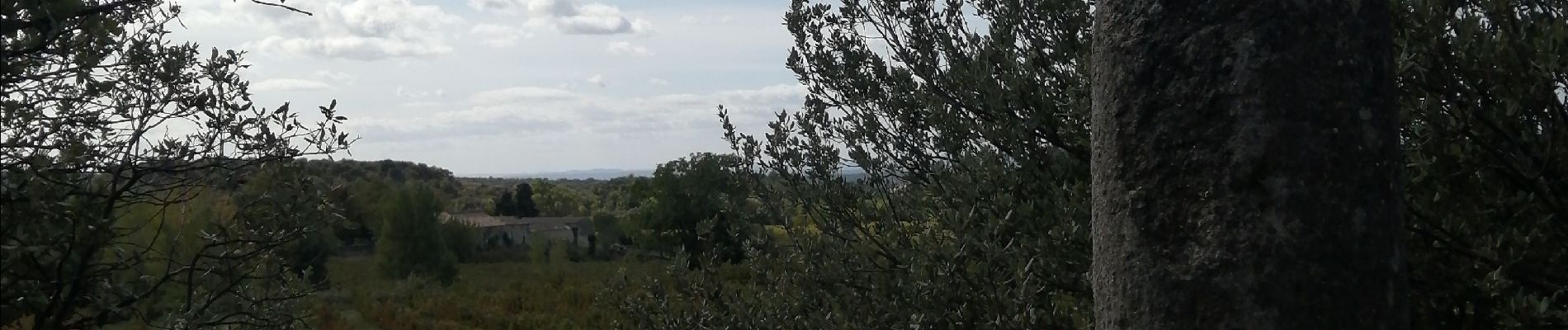 Randonnée Marche Montbrison-sur-Lez - la viale - Photo