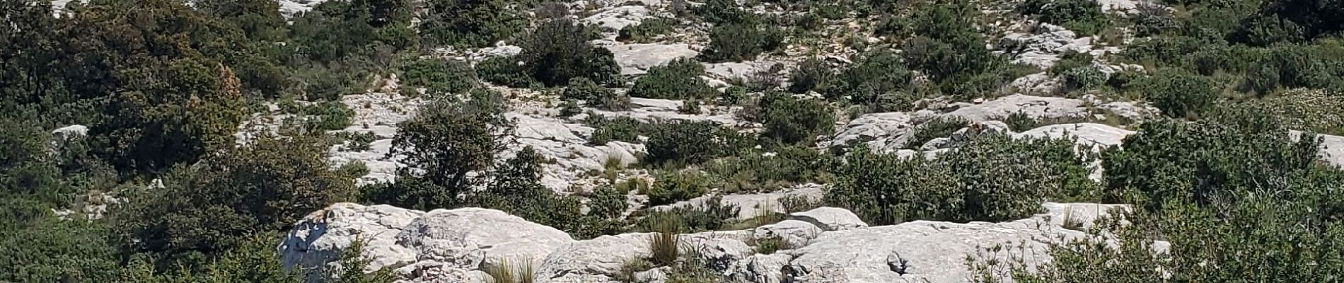 Tocht Stappen Gémenos - Sainte  baume pic de bertagne - Photo