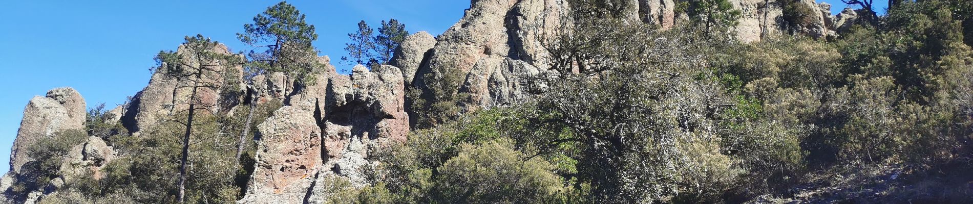 Tour Wandern Fréjus - Mont Vinaigre  - Photo