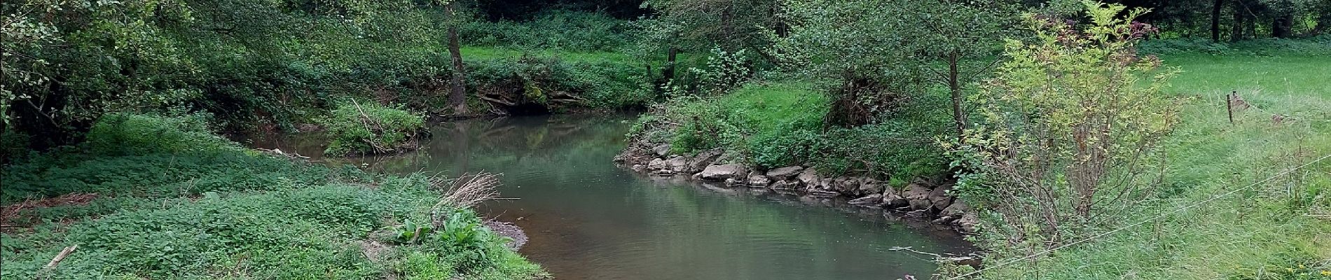 Tour Wandern Doische - soulme . départ eglise - Photo