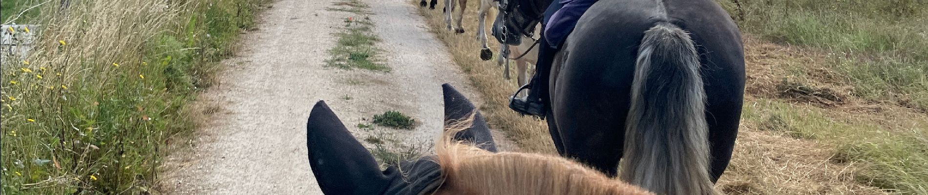 Percorso  Le Controis-en-Sologne - Rando Betty Feings - Photo